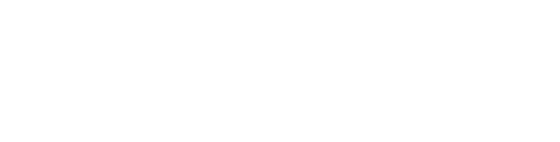 NTT Data